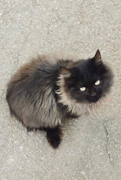 Col 4